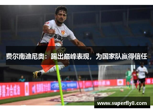 费尔南迪尼奥：踢出巅峰表现，为国家队赢得信任